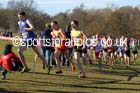 Senior mens Inter Counties Cross Country,  Cofton Park, Birmingham. Photo: David T. Hewitson/Sports for All Pics